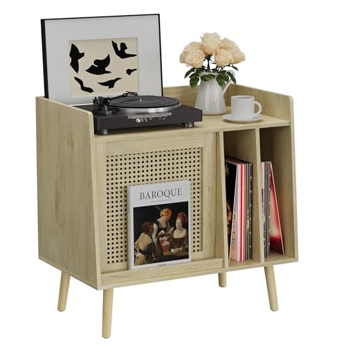 Semiocthome Meuble Platine Vinyle avec Rangement, Meuble Vinyle à Porte en Rotin, Grand Compartiment de Stockage et Plateau Spacieux