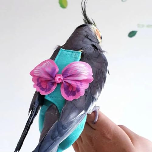 Arreio de fraldas para pássaros, roupa de voo de papagaio com coleira para papagaio, roupas de pássa