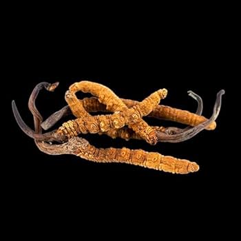 Yetuk rus ayollari ishtirokidagi porno Bobo bilan yaxshi jinsiy aloqa ni onlayn tomosha qiling