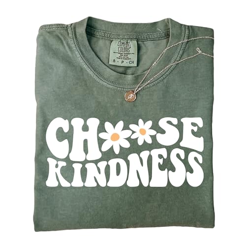 Comfort Colors® Back to School Choose Kindness Teacher T-Shirt Teacher Apprecistion Gift4