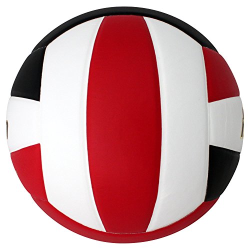 Image of Baden | Perfection | Premium Leather | Indoor Official Game Volleyball | 13U to College | Official Size + Weight | NFHS + AVCA Approved