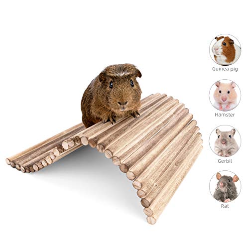 Niteangel Small Animal Climbing Toys - Suspension Bridge Ladder For Hamsters Gerbils Mice Rats Guinea Pigs Or Other Small Pets (15.7'' X 9.8'') #TOP1