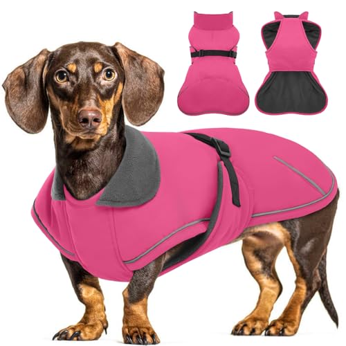 Hjyokuso Hundemantel Dackel M, Winddichter Wasserdichter Wintermantel Für Dackel Hunde, Hundejacke Für Große Hunde, Hundemantel Winter Mit Bauchschutz Und Leinenloch, Winterjacken Für Hunde - Rosa