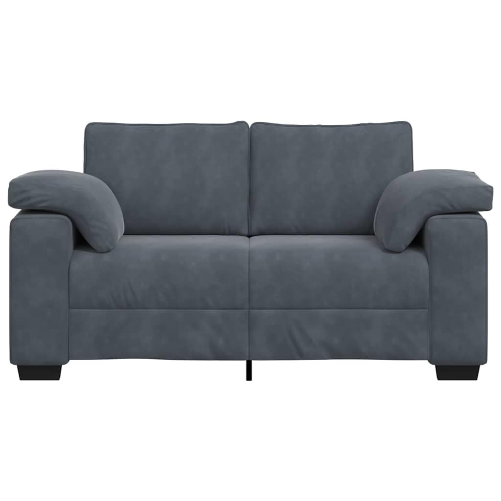 vidaXL Zweisitzer-Sofa Dunkelgrau 160x77x82 cm Samt