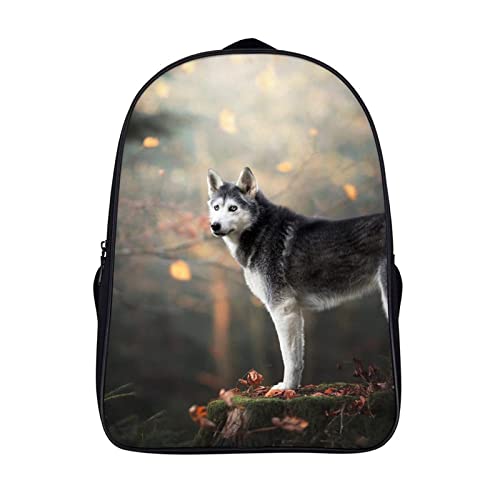 Sac d'école husky pour voyage jeunesse et sorties de week-end urbaines