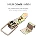 Cabilock 2pcs Draw Latch Door Draw Catch Hold Down Hasp for Carriage Truck Door Trailer Cargo Trailer Latch Industrial Hardware