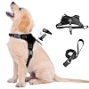 Magnetic Quick-Release Buckle Dog Harness and Leash Set, Easy Walk Faux Leather Puppy Harness and Leash, Easy On & Off Dog Vest for Small, Medium, Large Girl Boy Dogs for Training, Black,M
