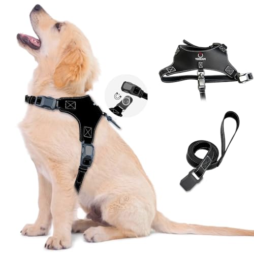 Magnetic Quick-Release Buckle Dog Harness and Leash Set, Easy Walk Faux Leather Puppy Harness and Leash, Easy On & Off Dog Vest for Small, Medium, Large Girl Boy Dogs for Training, Black,M