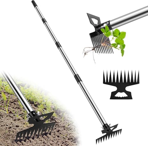 除草ツール付きロングハンドル、2in1手動除草かきと庭用锄、11歯除草工具、锄型庭用ツール、庭・芝生・庭・ガーデン用除草ツール