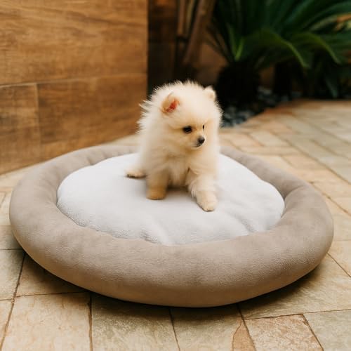 Cama Pet Redonda Fofinha, Confortável e Anti-estresse para Cachor...