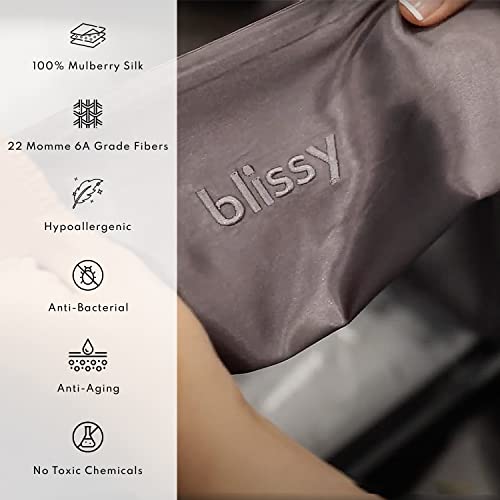 Blissy Silk Pillowcase - 100% Pure Mulberry Silk - 22 Momme 6A High-Grade Fibers - Satin Pillow Cover For Hair & Skin - Regular, Queen & King With Hidden Zipper #TOP1