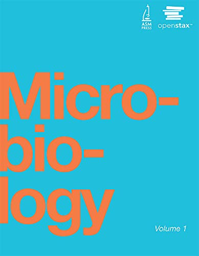 Preisvergleich Produktbild Microbiology by OpenStax