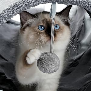 PAWZ Road Schön Faltbar Katzentunnel Katzenspielzeug mit Ball, Rascheltunnel, Spieltunnel für Katzen, 130cm x 30cm, Kaninchen Spielzeug, Grau Tunnel für Wohnungskatzen