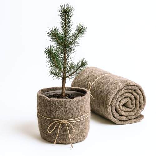 UNIGARDIA Feutre de Laine de Mouton 80 x 500 cm