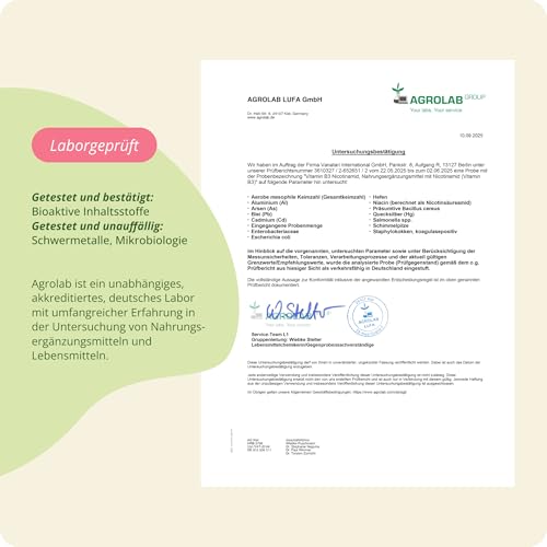 Vitamin B3 Niacin | Hochdosiert: 500 mg Nicotinamid | 180 Kapseln - 6 Monatsvorrat | Haut - Nerven - Energie* | Flushfree | Laborgeprüft | Vegan - Ohne Zusatzstoffe | Deutsche Produktion von Vegavero