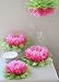Paper Flower Pom (Set of 7) Color: Mixed Pink