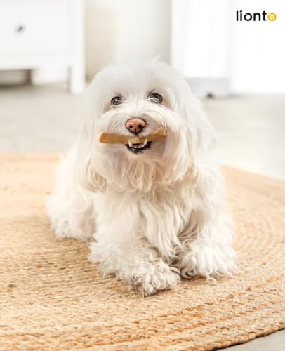 lionto Kaffeeholz für Hunde, Größe XS, 100% natürliches Robustes Kauspielzeug für gesunde Zähne, umweltfreundlicher Kauknochen für Welpen, langlebig & splitterarm, für Hunde unter 3 kg