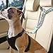 GRABAGECAN 3pcs Pet Leashes Restraints Dog Harnesses for Dogs Heavy Type Nylons Belt for Dogs Travel Pet Supply