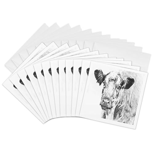 Cartes de vœux vache des Highlands lot de 12 formats 15x15 cm d'Écosse
