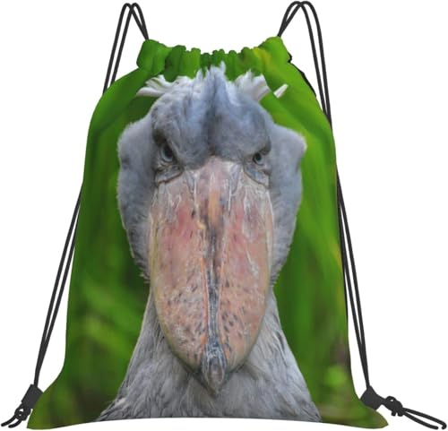 [ESASAX]  nVrRE WTbN ibvTbN В V[Y[ h y j  ^ s e Aj Lv v[obO