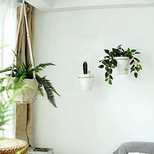 Bouqlife 2 Pack Macrame Plant Hangers Large 43 Inch Extra Long Hanging Planters For Indoor Plants Cotton Rope Flower Pot Holders With Ceiling Hooks White #TOP5