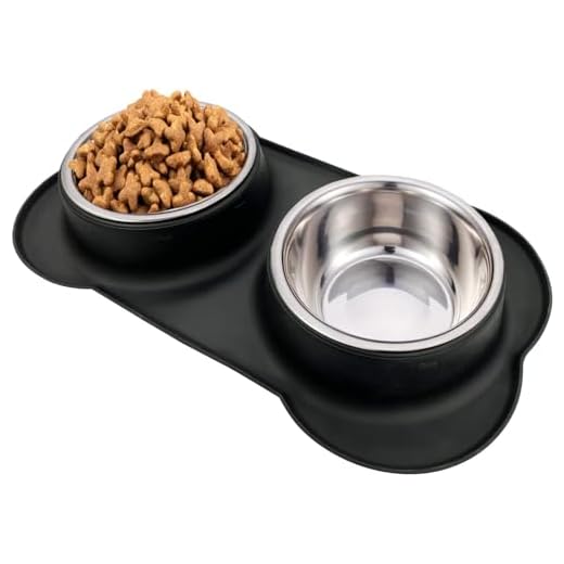 AsFrost Dog Food Bowls Stainless Steel Dog Bowls, Dog Food and Water Bowl Set with No Spill Non-Skid Silicone Mat, Dog Dishes for Small Medium Large Sized Dogs Pet Cat Food Bowls, 6 Cup, Black