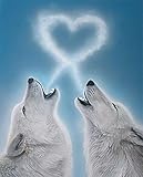 Multifunktional: Einzigartiges, schönes Diamant-Malen-nach-Zahlen ist die beste Dekoration für Wohnzimmer und Arbeitszimmer, DIY-Projekte und Handwerk. Auch dies ist eine gute Möglichkeit, Stress zu reduzieren und die Stimmung zu regulieren, um das Selbstvertrauen zu verbessern und Geduld zu fördern. Geeignet für Kinder und Erwachsene