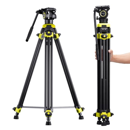 Cayer BV01 Trépied Video Compact avec Tête Fluide - 65" (165 cm) Léger en Aluminium pour Voyage, Tête 360°, Plaque Rapide et Charge Maxi 13.2 LB pour Reflex, Caméscope, Caméra