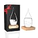 Empyrean Decorative Storm Glass - Water Drop Weather Predictor Creative Forecast Bottle Barometer Weather Glass - 17th Century European Meteorological Stylish Display Large Home Glass Crafts (Large)