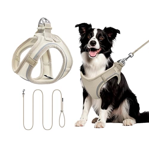 Hundegeschirr Set L mit 255cm Langer Leine – Gepolstertes Softgeschirr für mittlere Hunde – Sicherer Halt & Optimale Kontrolle durch Step-In Design – Beige