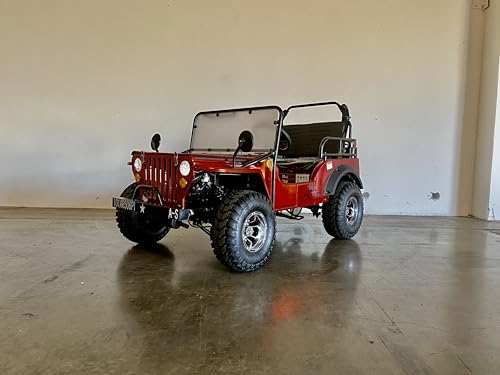 125CC WILLYS GO KART | VENOM | 125CC COOLSTER GO-KART for Children, Young Adults | RED