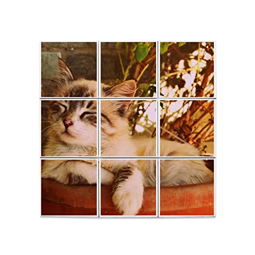 Chaton mignon décoratif en carreaux céramique pour crédence cuisine