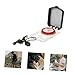 BESPORTBLE High Precision Camping Compass with Luminous Coating Portable Outdoor Hiking Tool Lightweight Survival Compass for Backpacking Adventures