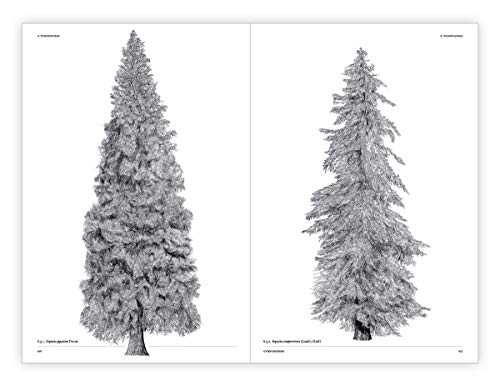 the architecture of trees