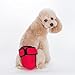Alfie Pet by Petoga Couture - Max Diaper Dog Sanitary Pantie with Velcro Closure - Color: Red, Size: L (for Girl Dogs)