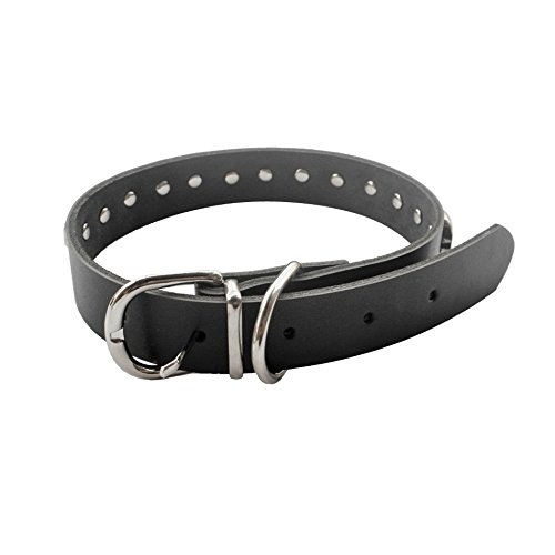 Stock Show Dog Puppy Pu Leather Collar With Fashion Cool Skull Studded Adjustable Soft Dog Collar Necklace Halloween Costume Accessory For Small Medium Dogs Puppy, Black, S #TOP2