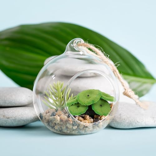 Image of BuleVina Green Coral Fake Artificial Decor Plant 3''x1'' - Premium Quality Multicolor Reef Resin Sculpture Aquarium Decorations for Fish Tank Landscape Ornament