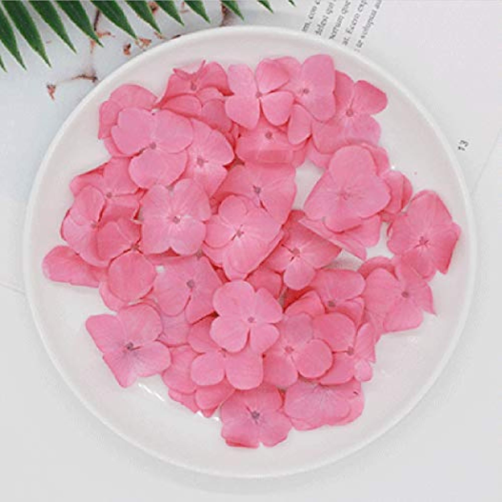60PCS Pressed Hydrangea Flowers for Scrapbooking