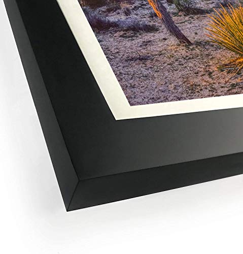 A Plus Max 16X20 Frame. Black Solid Wood Picture Frame 16X20 With Tempered Glass For Photo Size 11X14, Or 16X20 Poster Frame Horizontal/Vertical Display. #TOP3