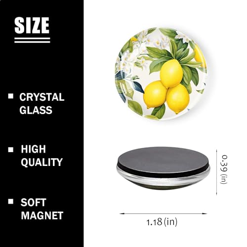 6 imanes decorativos de cristal para refrigerador redondos miniatura 2
