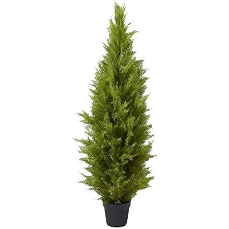 Amazon ゴールドクレスト 大 150ｃｍ グリーン Fd3704g フェイクグリーン リーフ ツリー 人工観葉植物 クレストツリー ゴールドクレスト コニファー ツリー 人工観葉植物 オンライン通販