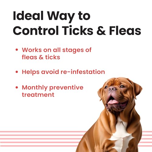 Image of Vivaldis VI-FI Forte 4.02 ml - Single Pipette - Spot on Solution for Prevention & Effective Control of Flea, Tick & Chewing Lice Treatment for Dogs Weighing from 40 to 60 kg