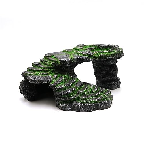 JvbgtH[瓴A঒ޑ~j^NpJ & t[eBOvbgtH[