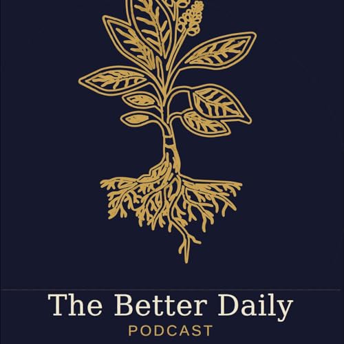 The Better Daily Podcast cover art