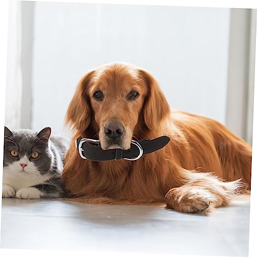 Angoily Hundehalsband Mit Borte Hundefliege Für Hunde Und Katzen Strapazierfähiges Material Süßer Und Modischer Look Praktisches Accessoire Für Tiere