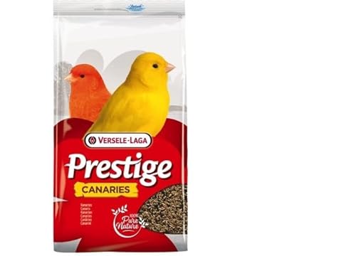 Miscela Canarini Professional 4 Semi 20 kg + 2 kg