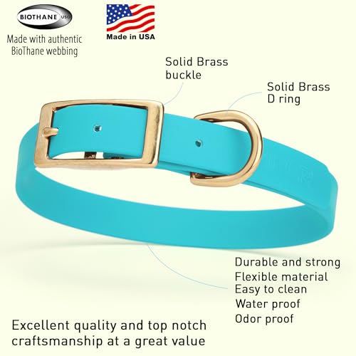 Image of Viper Biothane Heavy Duty Waterproof Dog Collar Strong Coated Nylon Webbing w /Solid Brass Hardware Odor-Proof Easy to Clean High Performance Fits Small Medium or Large Dogs, Sky Blue
