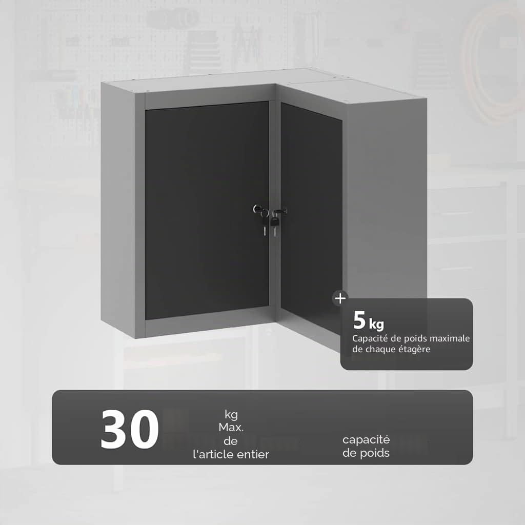 vidaXL Armoire à Outils avec étagère Noir et Gris 55 x 55 x 55 cm | Pas mal de place pour ranger tous tes trucs, S'adapte super bien dans n'importe quel coin, Fait en acier inoxydable solide