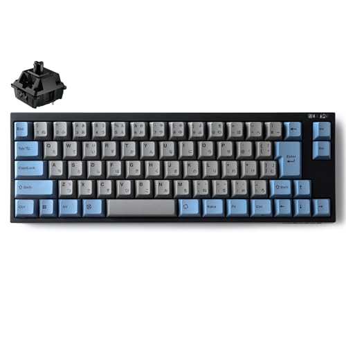 LEOPOLD ���I�|���h ���J�j�J���L�[�{�[�h FC660MBT GRAYBLUE Bluetooth�ڑ� USB�ڑ� ���{��z�� ���ȗL ���L�[�t �R���p�N�g 65% 70�L�[ �X�C�b�`�z�b�g�X���b�v Windows macOS �P4�d�r�쓮 USB