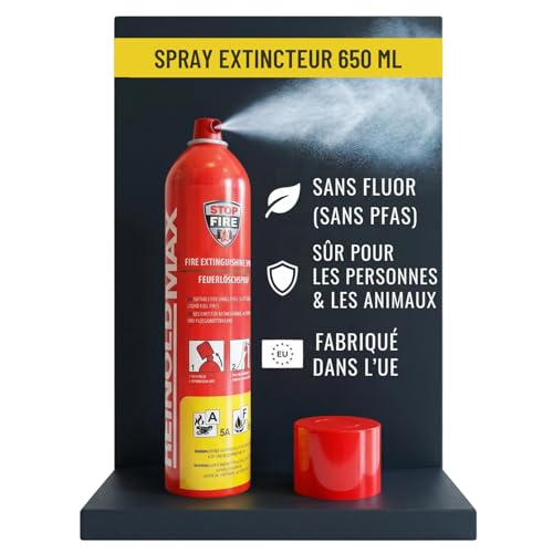 notlok Safety Work - 650 ML Mini Extincteur Maison Tous Feux sans...